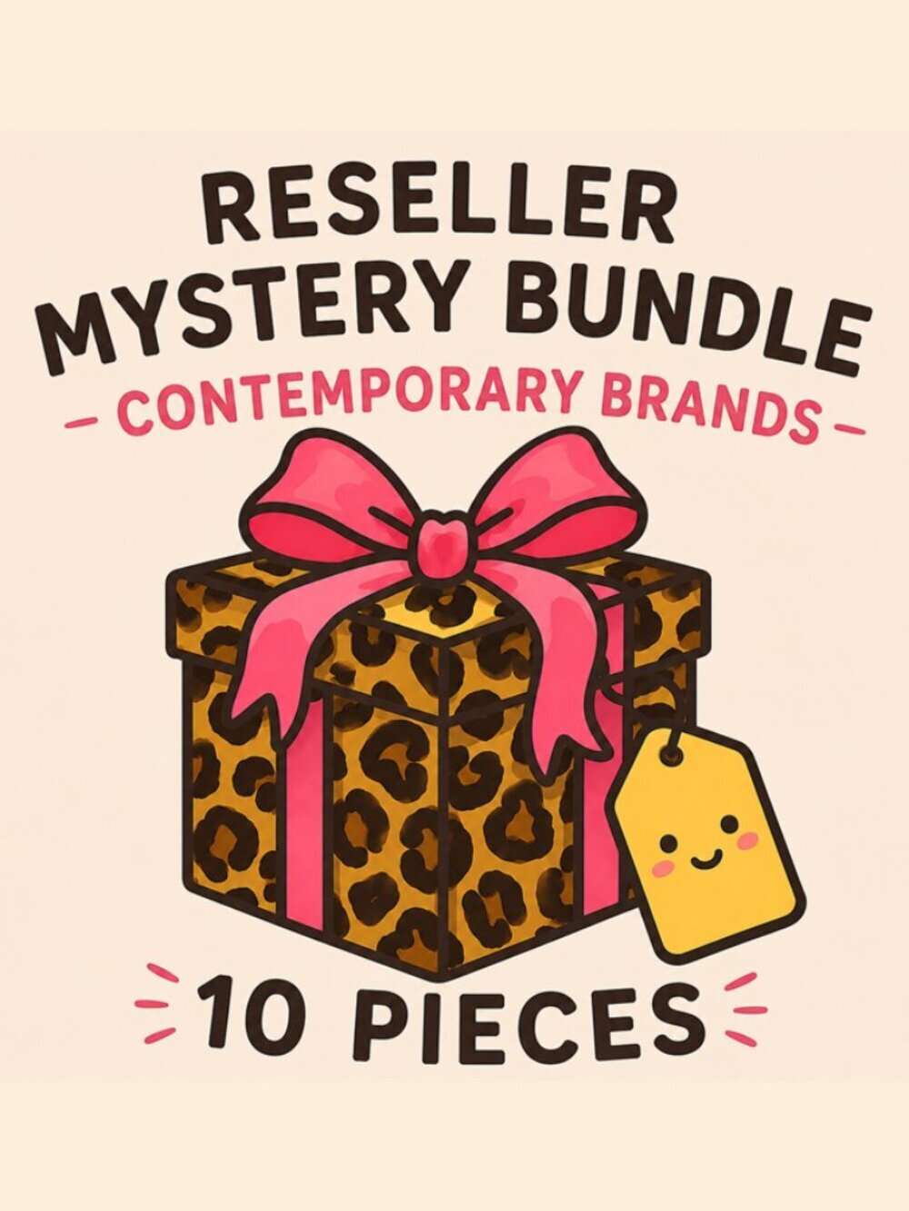 MYSTERY RESELLER BOX BUNDLE - 10 PIECES